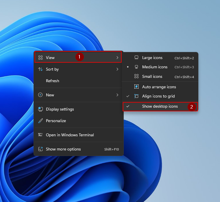 How to Show, Hide or Resize Desktop Icons in Windows 11? - The Microsoft Windows11