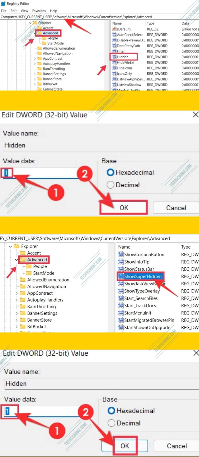 Show hidden files in Windows 11 through the registry