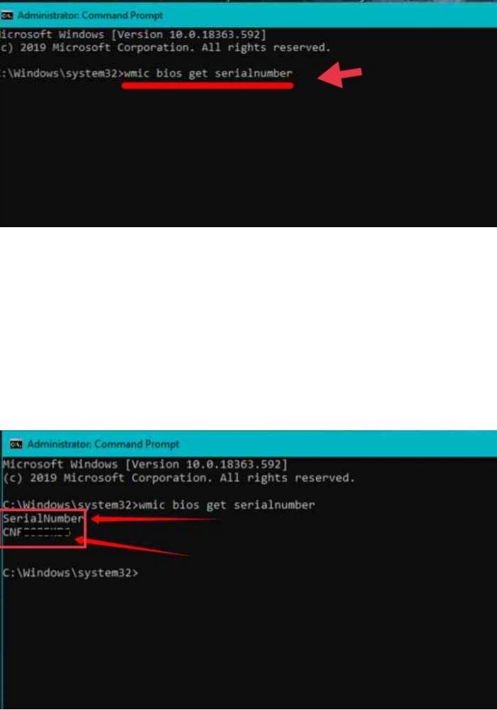 Find the HP laptop serial number from the command prompt